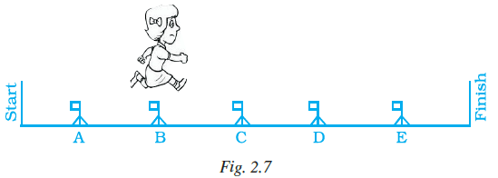 Page 46 Chapter 2 Class 7th NCERT Exemplar